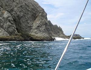 Sailfish Quepos Costa Rica